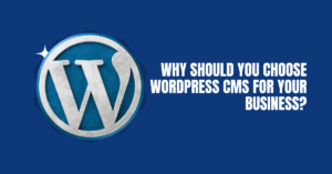 Why should you choose WordPress CMS for your Business